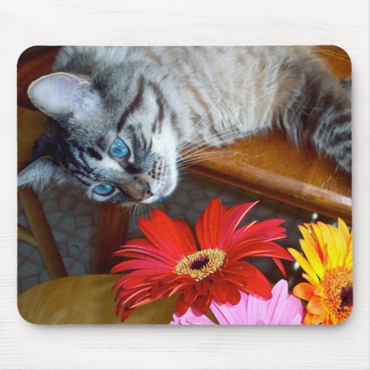 Louie Cat's ventilator Bliss Mousepad Muismat (Voorkant)