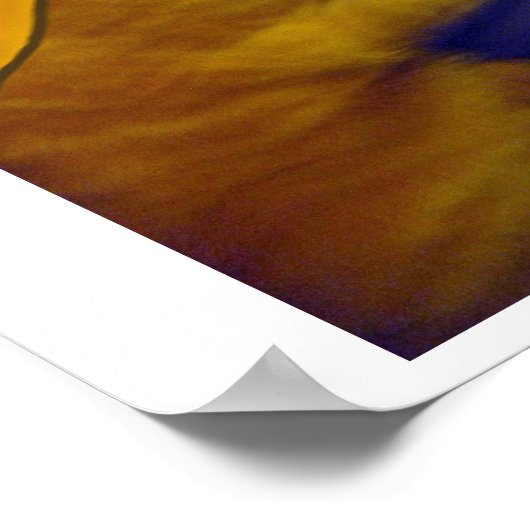 Louie de Ginger Cat als kapitein me-Ow Poster (Hoek)