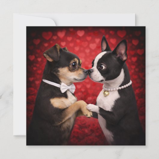 Louie & Luna wensen je een gelukkige Valentijnsdag Kaart (Voorkant)