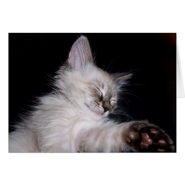 Louie's Slumber Smile (Voorkant Horizontaal)