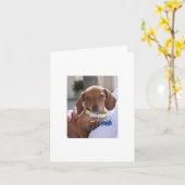 Louis 051 kaart (Gele Bloem)