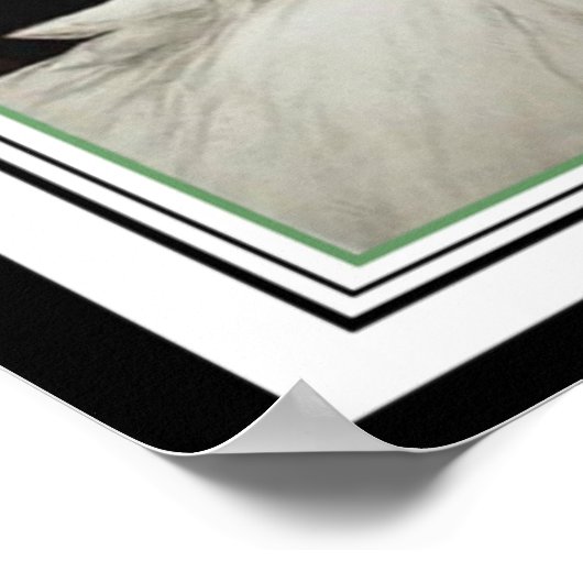 Louis Icart "White Flowers" Art Deco 16x20 Poster (Hoek)