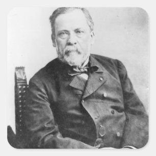 Louis Pasteur Vierkante Sticker