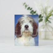Louis,""" Petit Basset Griffon de Vendeen Briefkaart (Staand voorkant)