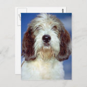 Louis,""" Petit Basset Griffon de Vendeen Briefkaart (Voorkant / Achterkant)