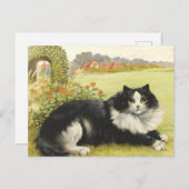 Louis Wain Black And White Cat Briefkaart (Voorkant / Achterkant)