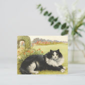 Louis Wain Black And White Cat Briefkaart (Staand voorkant)