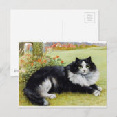 Louis Wain Cat, Black & White Cat Briefkaart (Voorkant / Achterkant)