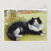 Louis Wain Cat, Black & White Cat Briefkaart (Voorkant)