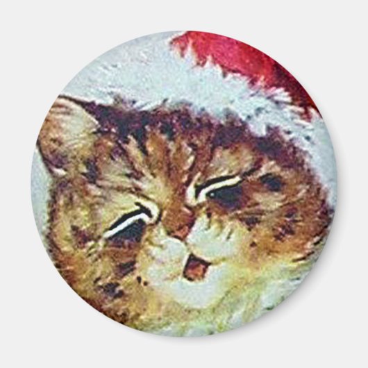 Louis Wain cat Magnet (Voorkant)