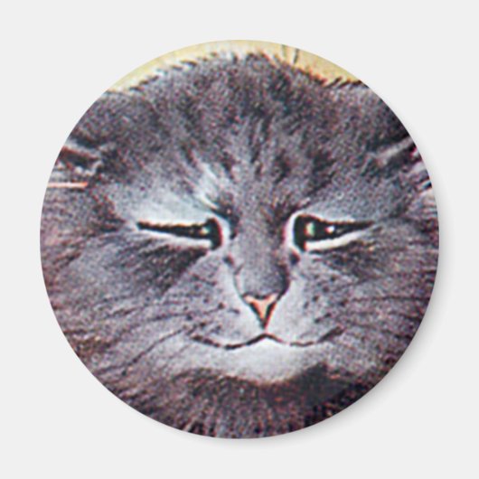 Louis Wain cat Magnet (Voorkant)