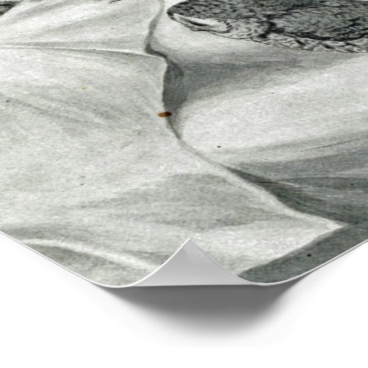 Louis Wain Cat Nightmare Owl Bird Poster (Hoek)