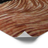  Louis Wain Magic Cats Art Poster (Hoek)