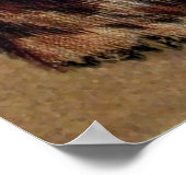 Louis Wain Monacle Cat Poster Print (Hoek)