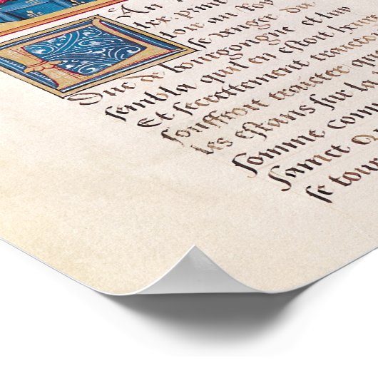 Louis XI Poster (Hoek)