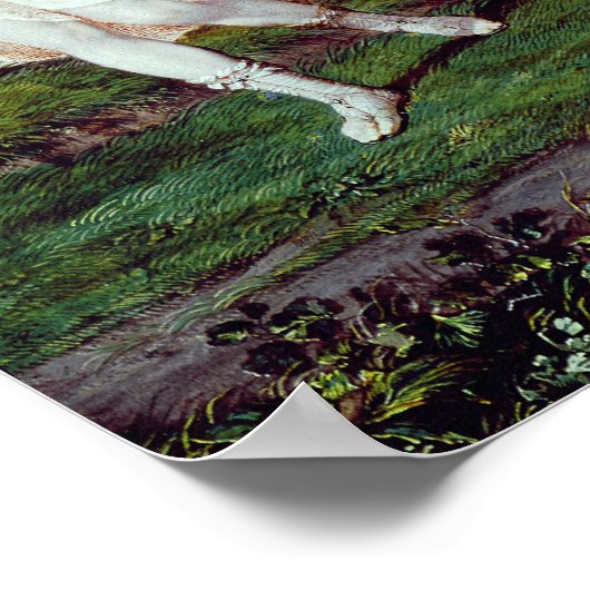 Louis XIV als Apollo, laag Python Poster (Hoek)