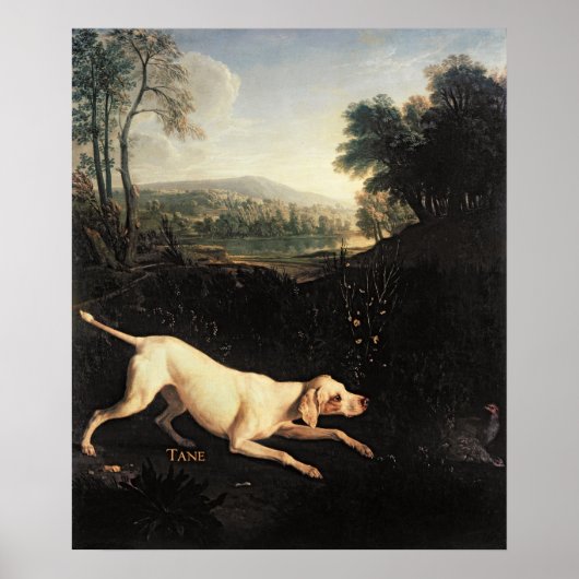 Louis XIV's Dog, Tane Poster (Voorkant)