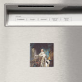 Louis XVI Magneet (Insitu (Vaatwasser))