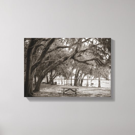 Louisa SP #2 Canvas Afdruk (Voorkant)