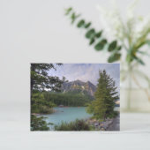 Louise Briefkaart (Staand voorkant)