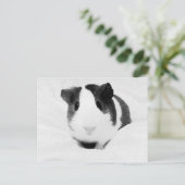 louise briefkaart (Staand voorkant)