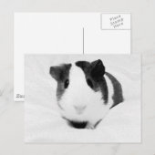 louise briefkaart (Voorkant / Achterkant)