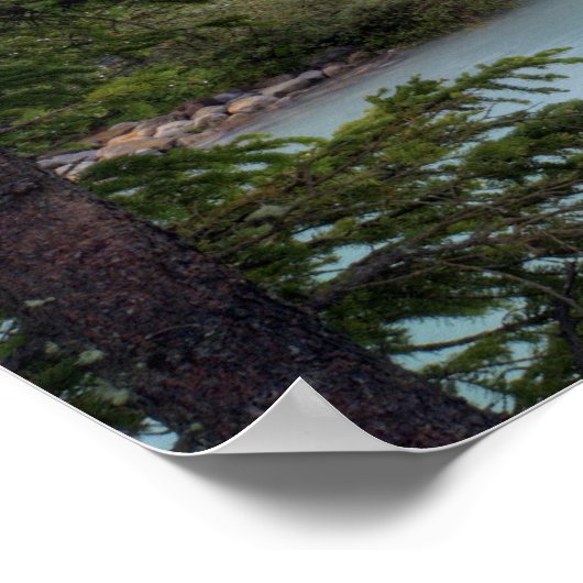 Louise Poster (Hoek)