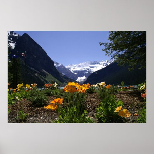 Louise Poster (Voorkant)