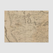 Louisiana 12 tissuepapier (Voorkant)