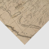 Louisiana 12 tissuepapier (Detail)