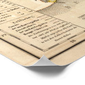 Louisiana 4 poster (Hoek)