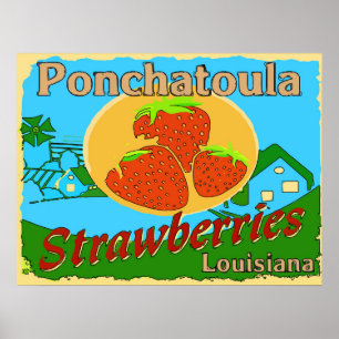 Louisiana aardbeien, Ponchatoula Poster