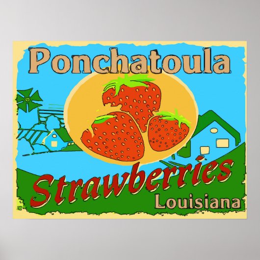Louisiana aardbeien, Ponchatoula Poster (Voorkant)