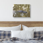 Louisiana-alligator Canvas Afdruk (Insitu (Slaapkamer))