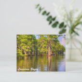 Louisiana Bayou Briefkaart (Staand voorkant)