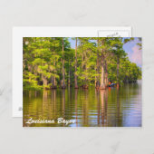 Louisiana Bayou Briefkaart (Voorkant / Achterkant)