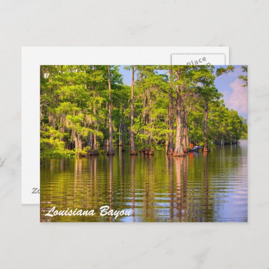 Louisiana Bayou Briefkaart (Voorkant / Achterkant)