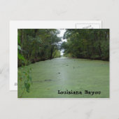 Louisiana Bayou Briefkaart (Voorkant / Achterkant)