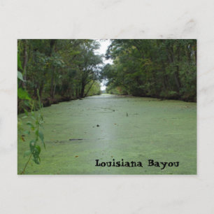 Louisiana Bayou Briefkaart