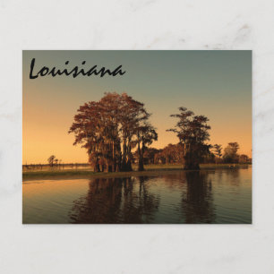 Louisiana bayou briefkaart