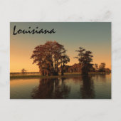 Louisiana bayou briefkaart (Voorkant)