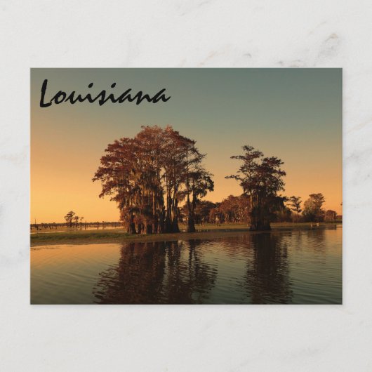 Louisiana bayou briefkaart (Voorkant)