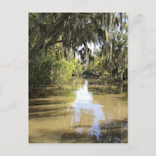 Louisiana Bayou Briefkaart (Voorkant)