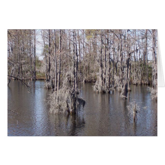 Louisiana Bayou Card (Voorkant Horizontaal)