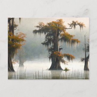 Louisiana Bayou Cipres Ansichtkaart Briefkaart