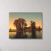 Louisiana bayou en cipressen canvas afdruk (Voorkant)