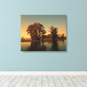 Louisiana bayou en cipressen canvas afdruk (Insitu (Houten vloer))