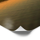 Louisiana bayou en cipressen poster (Hoek)