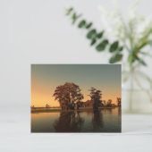 Louisiana bayou en cypress-bomen bij zonlicht briefkaart (Staand voorkant)