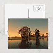 Louisiana bayou en cypress-bomen bij zonlicht briefkaart (Voorkant / Achterkant)